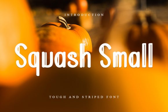 Squash Small: A Stylish Display Font