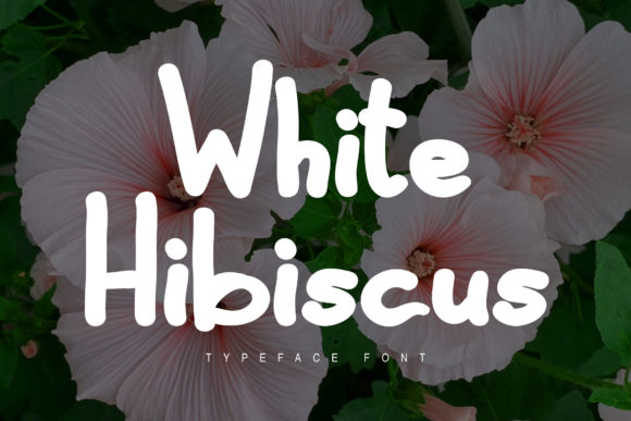 White Hibiscus Font for Editorial Design
